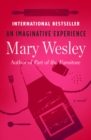 An Imaginative Experience : A Novel - eBook