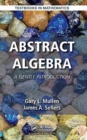 Abstract Algebra : A Gentle Introduction - Book