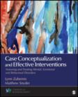 Case Conceptualization and Effective Interventions : Assessing and Treating Mental, Emotional, and Behavioral Disorders - Book