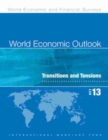 World economic outlook : October 2013, transitions and tensions - Book