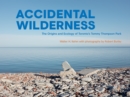 Accidental Wilderness : The Origins and Ecology of Toronto's Tommy Thompson Park - eBook