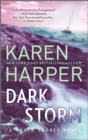 Dark Storm - eBook
