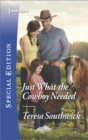 Just What the Cowboy Needed - eBook