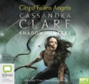 City of Fallen Angels - Book