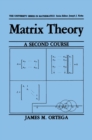 Matrix Theory: A Second Course - eBook