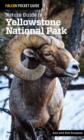 Nature Guide to Yellowstone National Park - Book