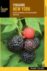 Foraging New York : Finding, Identifying, and Preparing Edible Wild Foods - eBook