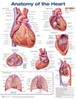 Anatomy of the Heart - Book