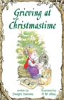 Grieving at Christmastime - eBook