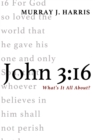 John 3:16 : What's It All About? - eBook