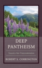 Deep Pantheism : Toward a New Transcendentalism - Book