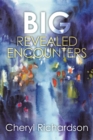 Big Revealed Encounters - eBook