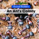 An Ant's Colony - eBook