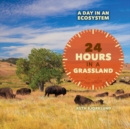 24 Hours in a Grassland - eBook