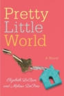 Pretty Little World - Book