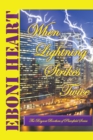 When Lightning Strikes Twice : The Bryant Brothers of Plainfield Series - eBook