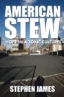 American Stew : Hope in a Toxic Culture - eBook