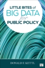 Little Bites of Big Data for Public Policy - Book