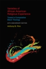 Varieties of African American Religious Experience : Toward a Comparative Black Theology - eBook
