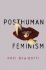 Posthuman Feminism - Book