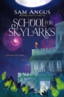 School for Skylarks - eBook