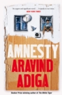 Amnesty - eBook