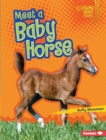 Meet a Baby Horse - eBook