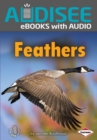 Feathers - eBook