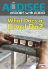 What Does a Level Do? - eBook