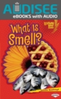 What Is Smell? - eBook
