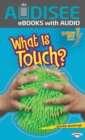 What Is Touch? - eBook