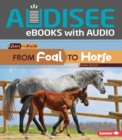 From Foal to Horse - eBook