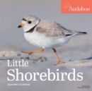 Audubon Little Shorebirds Mini Wall Calendar 2024 : A Tribute to the Diversity of Shorebirds and the Fragile Ecosystems they Inhabit - Book