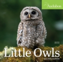 Audubon Little Owls Mini Wall Calendar 2024 : A Year of Fluffy and Round Owls - Book