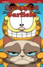 Grumpy Cat & Garfield - Book