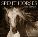 Spirit Horses 2025 Wall Calendar by Tony Stromberg - Book