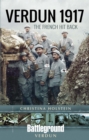 Verdun 1917 : The French Hit Back - eBook