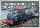 British Industrial Steam Locomotives : A Pictorial Survey - eBook