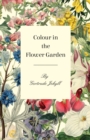 Colour in the Flower Garden - eBook