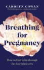 Breathing for Pregnancy : How to find calm through the four trimesters - eBook