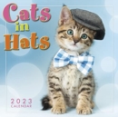 CATS IN HATS - Book