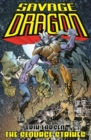 Savage Dragon - Book