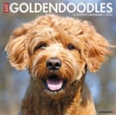 Just Goldendoodles 2024 12 X 12 Wall Calendar - Book