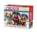 Crusoe the Celebrity Dachshund 2024 6.2 X 5.4 Box Calendar - Book