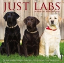 Just Labs 2024 7 X 7 Mini Wall Calendar - Book