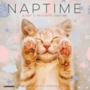Naptime (Cats) 2024 7 X 7 Mini Wall Calendar - Book