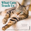 What Cats Teach Us 2024 7 X 7 Mini Wall Calendar - Book