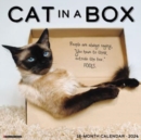 Cat in a Box 2024 12 X 12 Wall Calendar - Book
