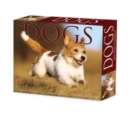 Dogs 2024 6.2 X 5.4 Box Calendar - Book