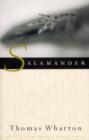 Salamander - eBook
